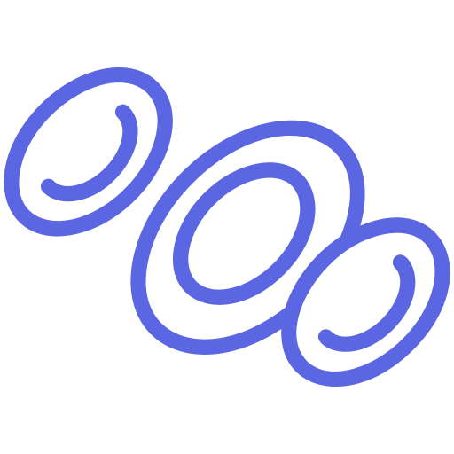 Neurotology Procedures